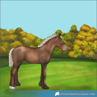 Horse Color:Gray Liver Chestnut Pearl Mushroom