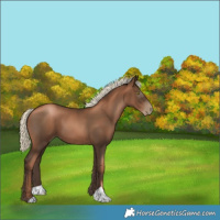 Horse Color:Gray Liver Chestnut Pearl Mushroom