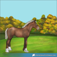 Horse Color:Gray Liver Chestnut Pearl Mushroom