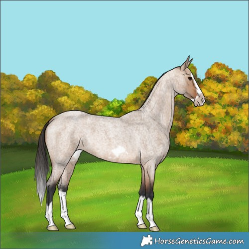 Horse Color:Bay Roan Dun Splash Frame 