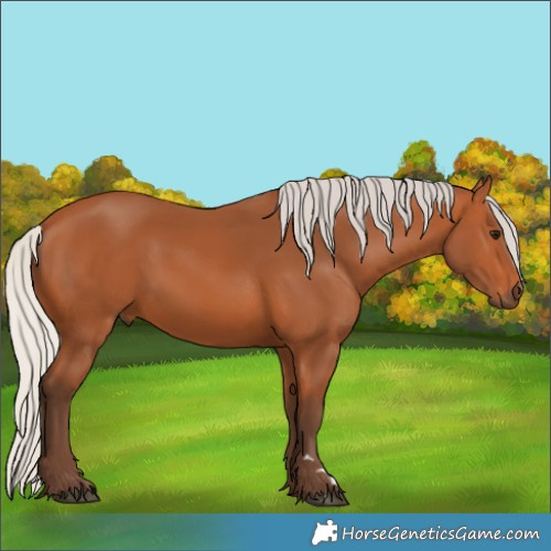 Horse Color:Silver Bay Rabicano