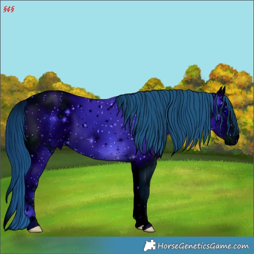 Horse Color:ERROR: UNKNOWN ANOMALY