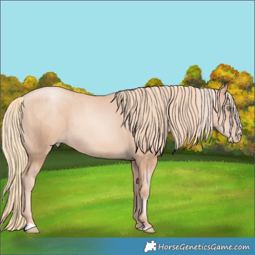 Horse Color:Gold Champagne Pearl Rabicano  and Gold Champagne Pearl Rabicano 