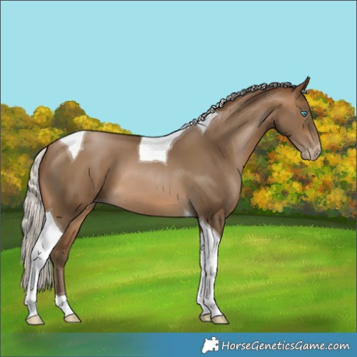 Horse Color:Gray Silver Buckskin Pearl Tobiano 
