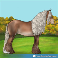 Horse Color:Gray Liver Chestnut Pearl Mushroom 