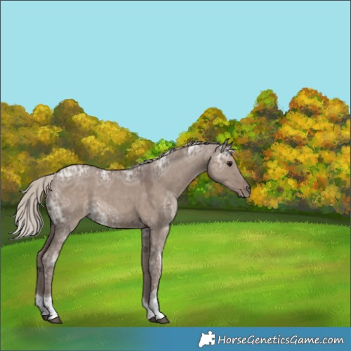 Horse Color:Silver Grullo Ice Tobiano 