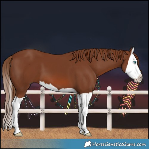 Horse Color:Chestnut Splash 