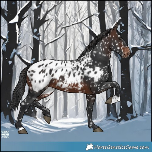 Horse Color:Brown Blanket