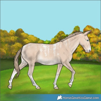 Horse Color:Powder White Perlino 