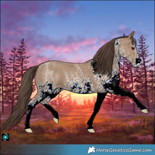 Horse Color:White Spotted Classic Champagne 
