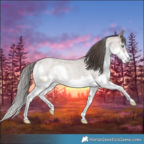 Horse Color:Classic Champagne Roan Splash