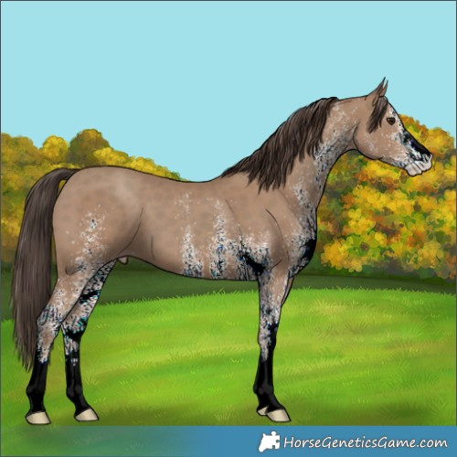 Horse Color:White Spotted Classic Champagne 