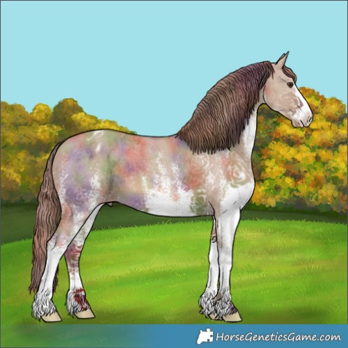 Horse Color:Nacre White Spotted Red Dun Blanket 
