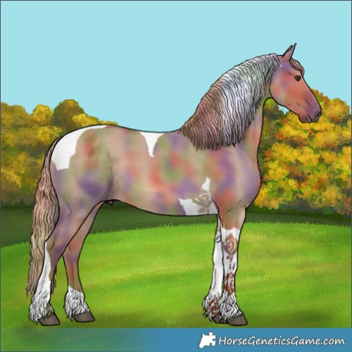 Horse Color:Nacre Red Dun Tobiano