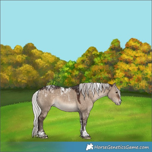 Horse Color:Powder White Silver Brown Dun 