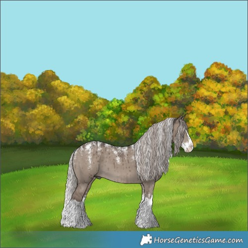 Horse Color:Powder White Silver Grullo Splash Brindle