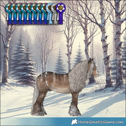 Horse Color:Powder White White Spotted Silver Grullo Splash Brindle 