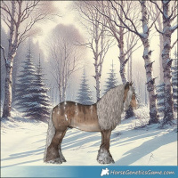 Horse Color:Powder White White Spotted Silver Grullo Splash Brindle