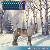 Horse Color:Powder White White Spotted Silver Grullo Splash Brindle 