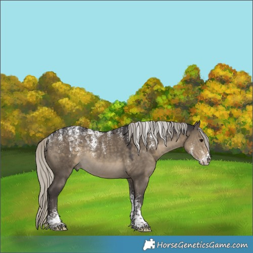 Horse Color:Powder White Silver Smoky Grullo Rabicano
