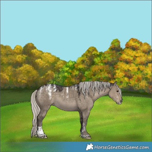 Horse Color:Powder White Silver Smoky Grullo 