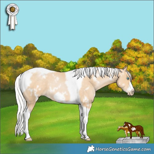 Horse Color:White Spotted Silver Smoky Black Pearl Tobiano Frame 