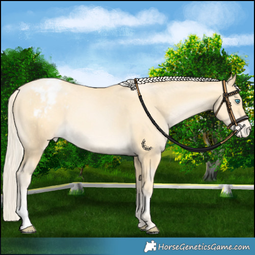 Horse Color:Palomino Pearl Varnish