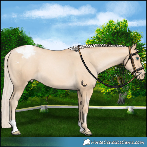 Horse Color:Palomino Pearl Varnish 