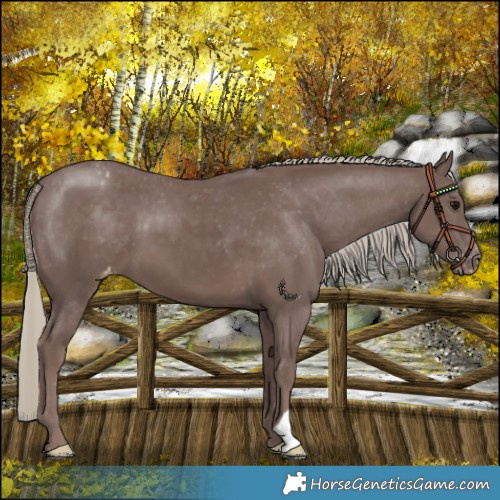 Horse Color:Chocolate Silver Smoky Black Varnish 