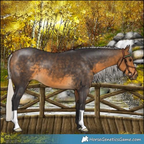 Horse Color:Silver Buckskin 