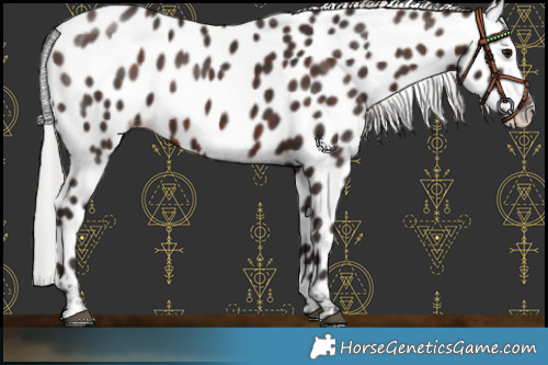Horse Color:Silver Brown Leopard 