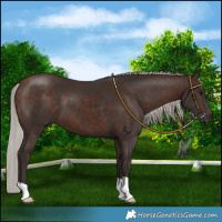 Horse Color:Silver Bay