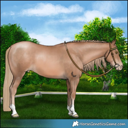 Horse Color:Liver Chestnut Pearl 