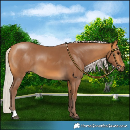 Horse Color:Chocolate Silver Buckskin 