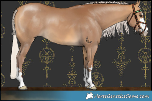 Horse Color:Chocolate Silver Buckskin 