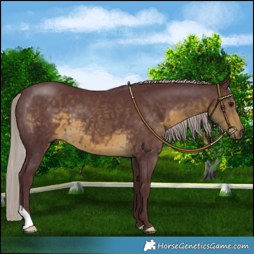 Horse Color:Chocolate Silver Smoky Black