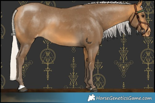 Horse Color:Silver Buckskin Varnish 