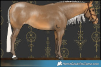 Horse Color:Silver Buckskin Varnish 