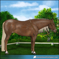 Horse Color:Chocolate Palomino Varnish 