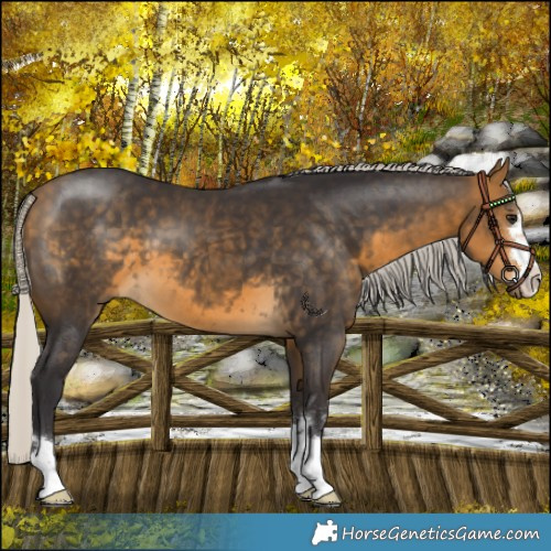 Horse Color:Silver Buckskin 