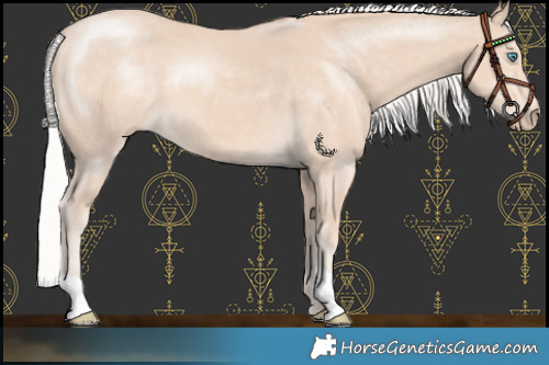 Horse Color:Silver Smoky Creme