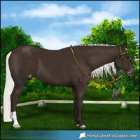 Horse Color:Liver Chestnut Mushroom Varnish 