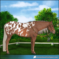 Horse Color:Chestnut Mushroom Blanket