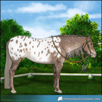 Horse Color:Liver Red Dun Mushroom Blanket 
