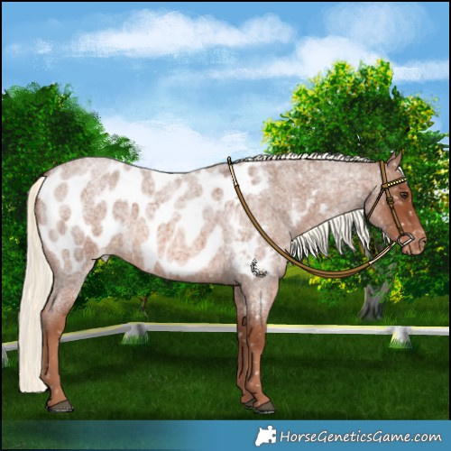 Horse Color:Red Roan Mushroom Blanket 