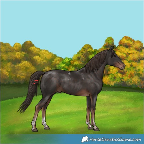 Horse Color:Powder White Liver Chestnut 