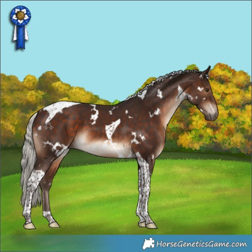 Horse Color:White Spotted Silver Brown Tobiano