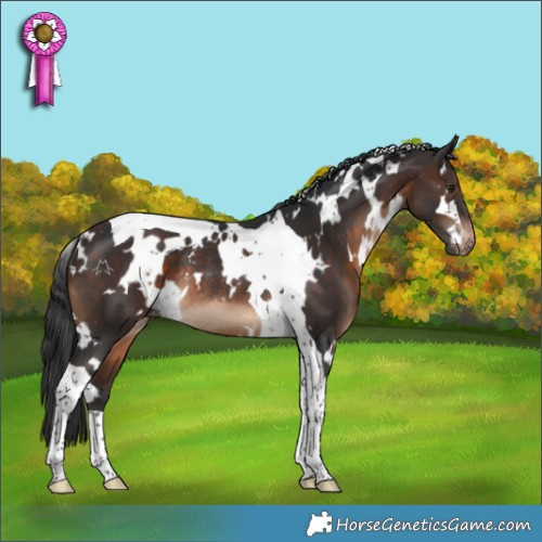 Horse Color:White Spotted Brown Tobiano Varnish Rabicano 