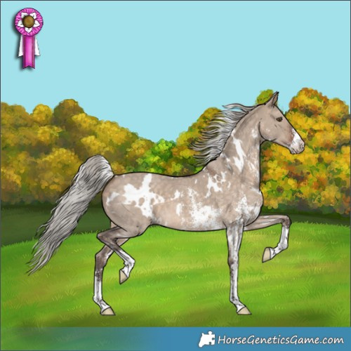 Horse Color:White Spotted Silver Brown Dun Sabino