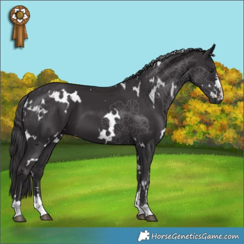 Horse Color:White Spotted Smoky Black Chinchilla